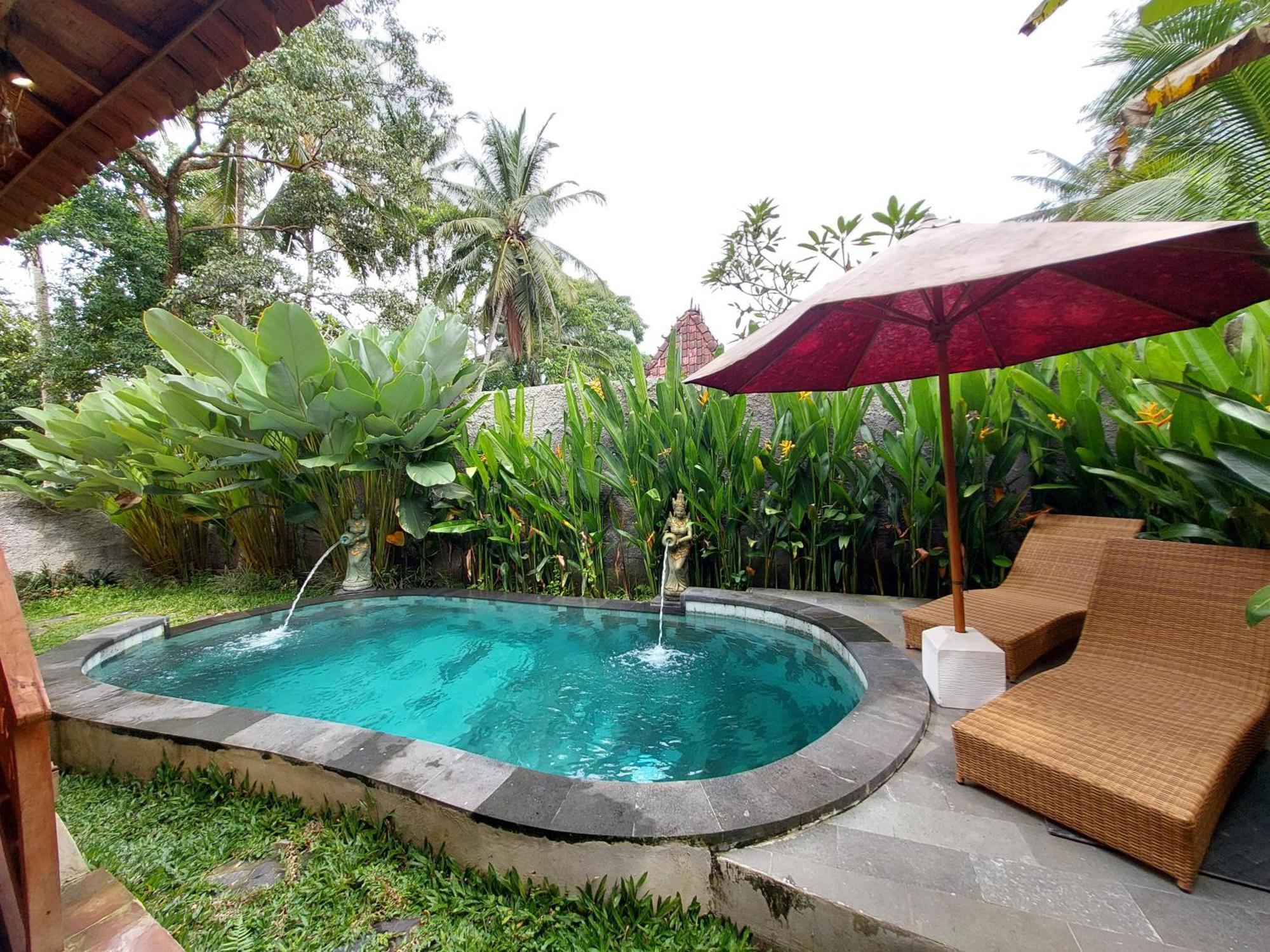 D'Ethnic Ubud Villa 乌布 外观 照片