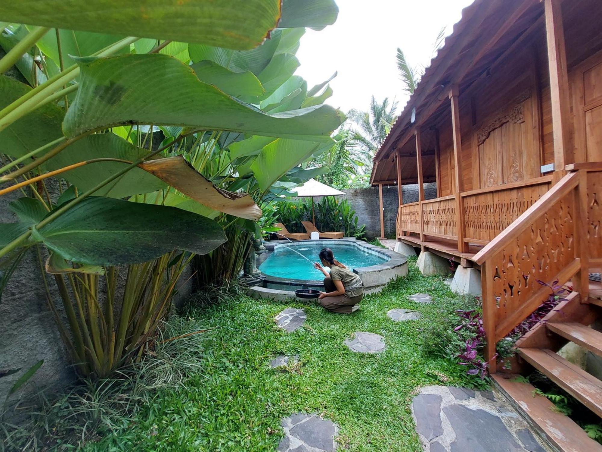 D'Ethnic Ubud Villa 乌布 外观 照片