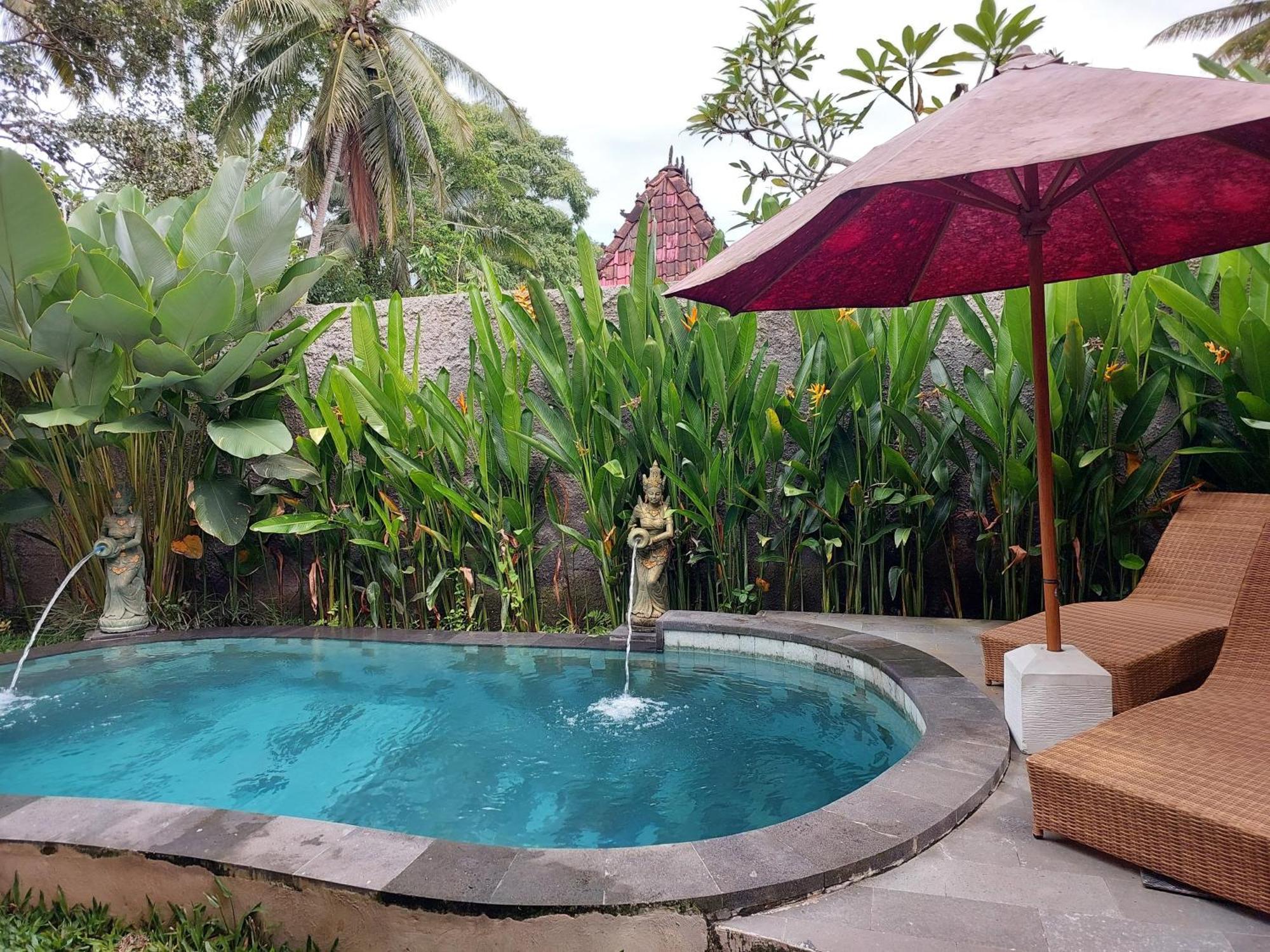 D'Ethnic Ubud Villa 乌布 外观 照片