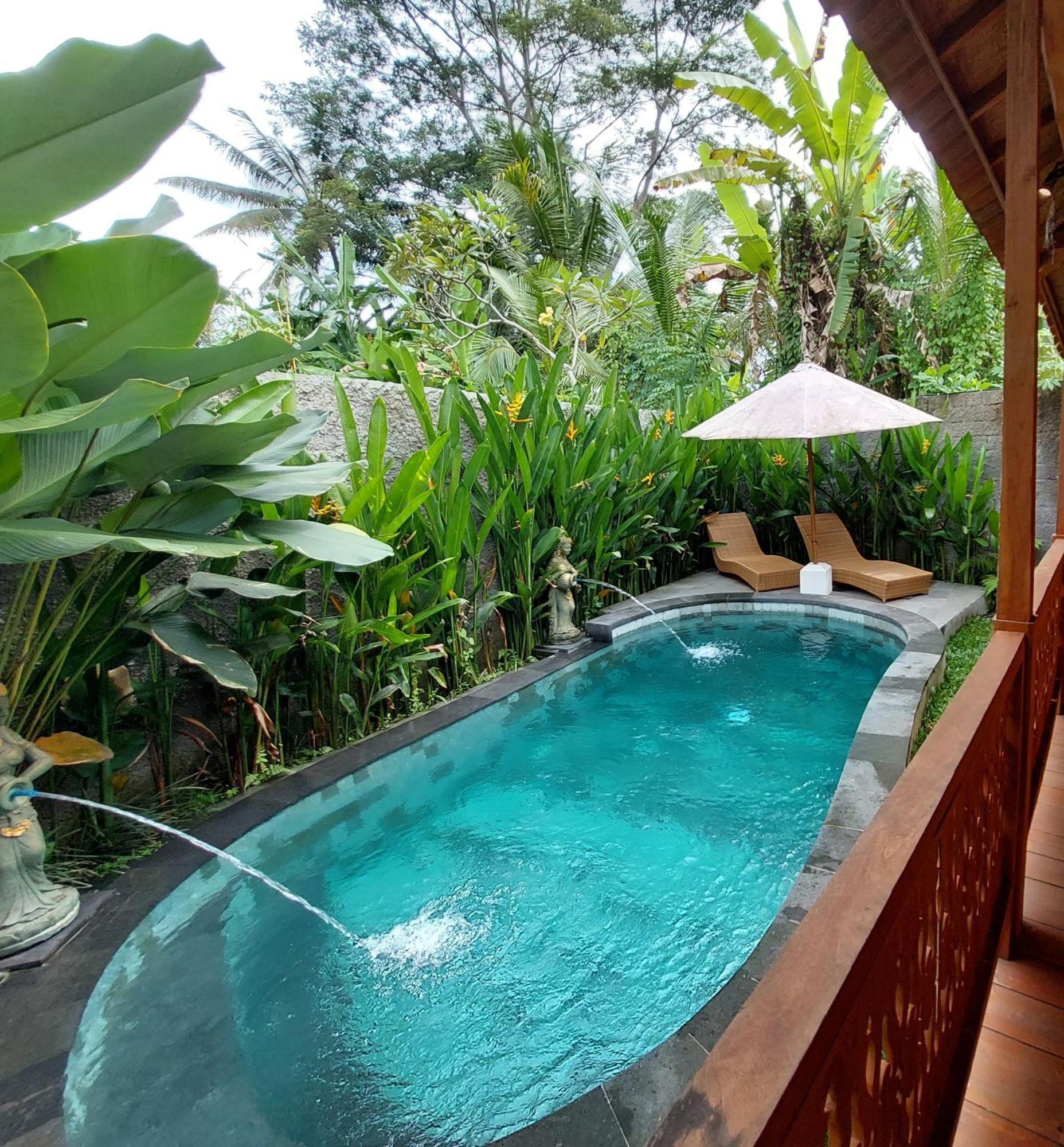 D'Ethnic Ubud Villa 乌布 外观 照片